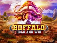 Buffalo Hold and Win