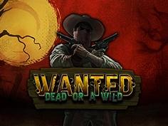 Wanted Dead or a Wild